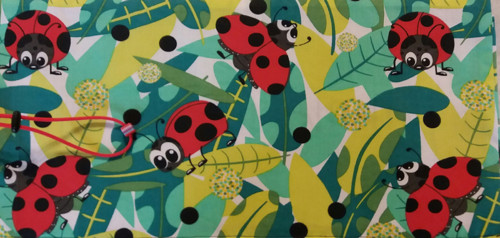 berušky velké pastelkovník 3