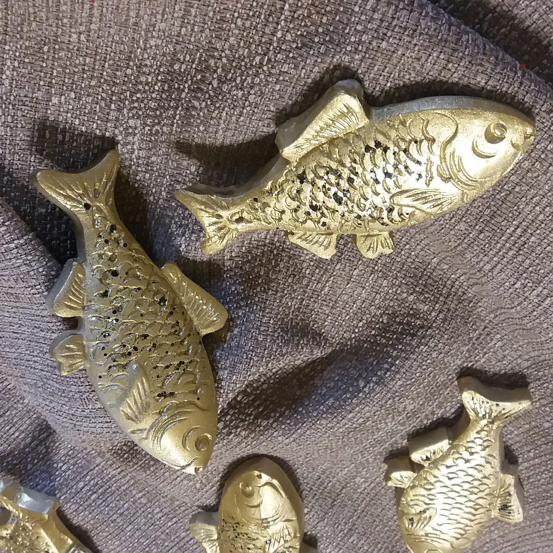 zlaté rybky